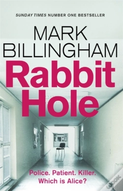 Capa do artigo Rabbit Hole