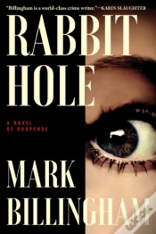 Capa do artigo Rabbit Hole