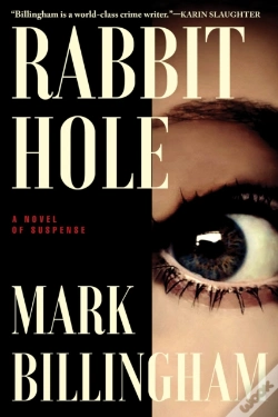 Capa do artigo Rabbit Hole