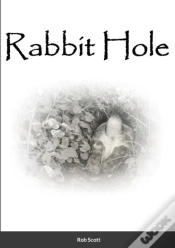 Capa do artigo Rabbit Hole