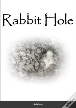 Capa do artigo Rabbit Hole