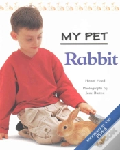 Capa do artigo Rabbit