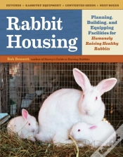 Capa do artigo Rabbit Housing
