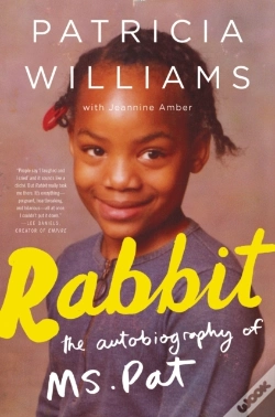 Capa do artigo Rabbit