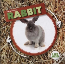 Capa do artigo Rabbit