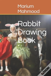 Capa do artigo Rabbit