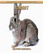 Rabbit - Preview