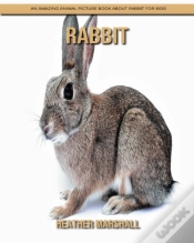 Capa do artigo Rabbit