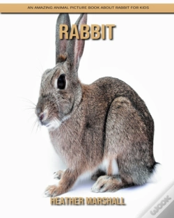 Capa do artigo Rabbit