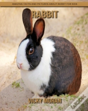 Capa do artigo Rabbit