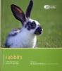 Rabbit - Pet Friendly - Preview