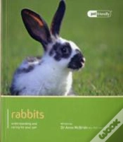 Capa do artigo Rabbit - Pet Friendly