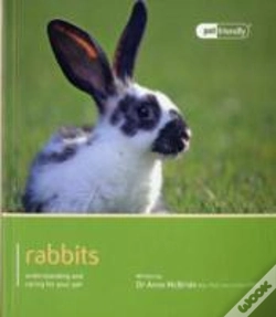 Capa do artigo Rabbit - Pet Friendly