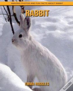 Capa do artigo Rabbit