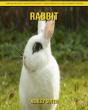 Rabbit - Preview