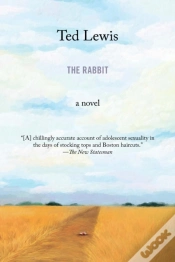 Capa do artigo Rabbit