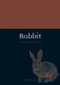 Rabbit - Preview