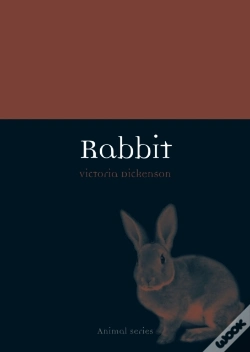 Capa do artigo Rabbit
