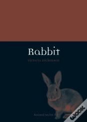 Capa do artigo Rabbit