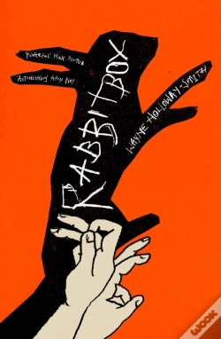 Capa do artigo Rabbitbox
