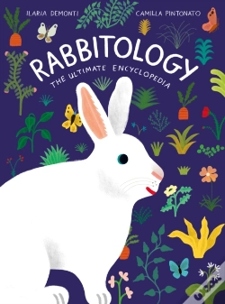 Capa do artigo Rabbitology