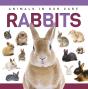 Rabbits - Preview