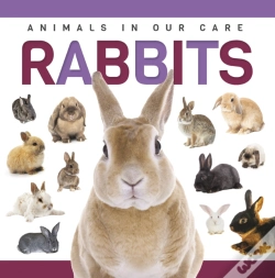 Capa do artigo Rabbits