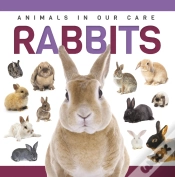 Capa do artigo Rabbits