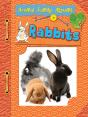 Rabbits - Preview