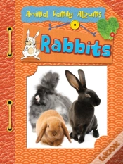 Capa do artigo Rabbits