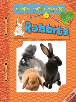 Capa do artigo Rabbits