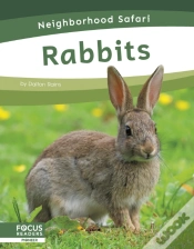 Capa do artigo Rabbits