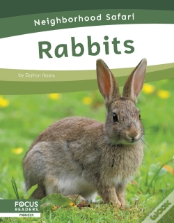 Capa do artigo Rabbits