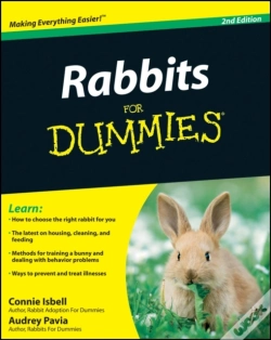 Capa do artigo Rabbits For Dummies