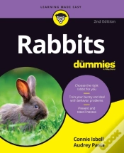 Capa do artigo Rabbits For Dummies