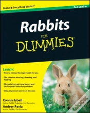 Capa do artigo Rabbits For Dummies