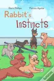 Capa do artigo Rabbit