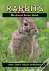 Rabbits