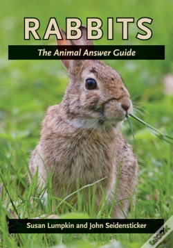 Capa do artigo Rabbits