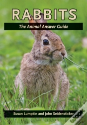 Capa do artigo Rabbits
