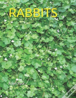 Capa do artigo Rabbits