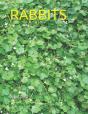 Rabbits - Preview