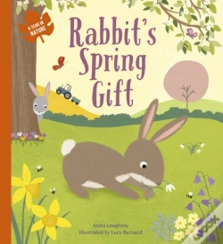 Capa do artigo Rabbit'S Spring Gift