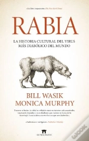 Capa do artigo Rabia
