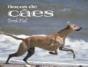 Raças de Cães - Preview