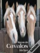 Raças de Cavalos