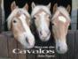 Raças de Cavalos - Preview