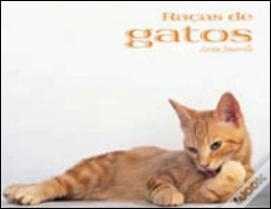 Capa do artigo Raças de Gatos