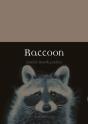 Raccoon - Preview