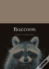 Raccoon